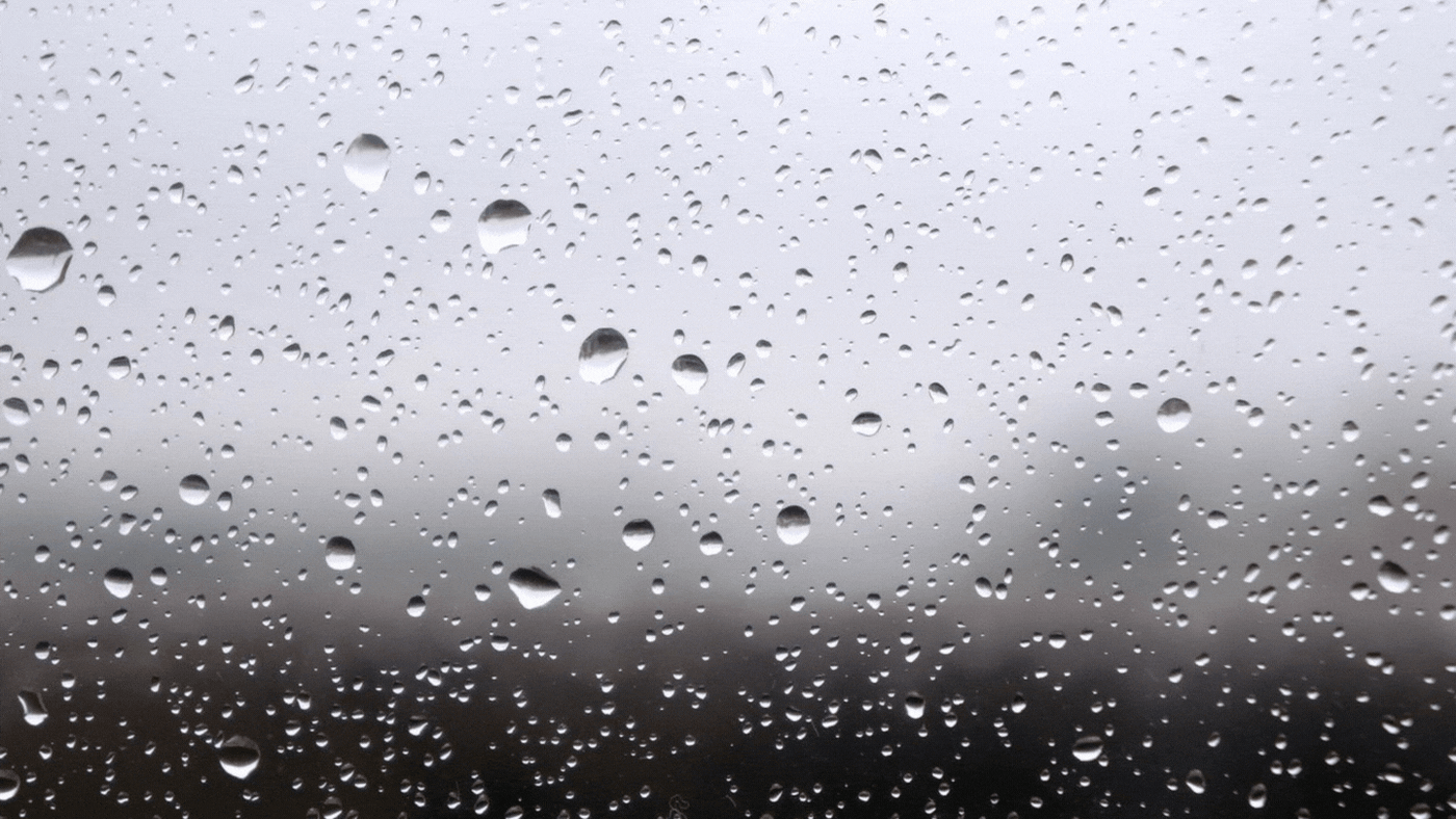 5 signes qui font de vous un pluviophile ! - Flotte