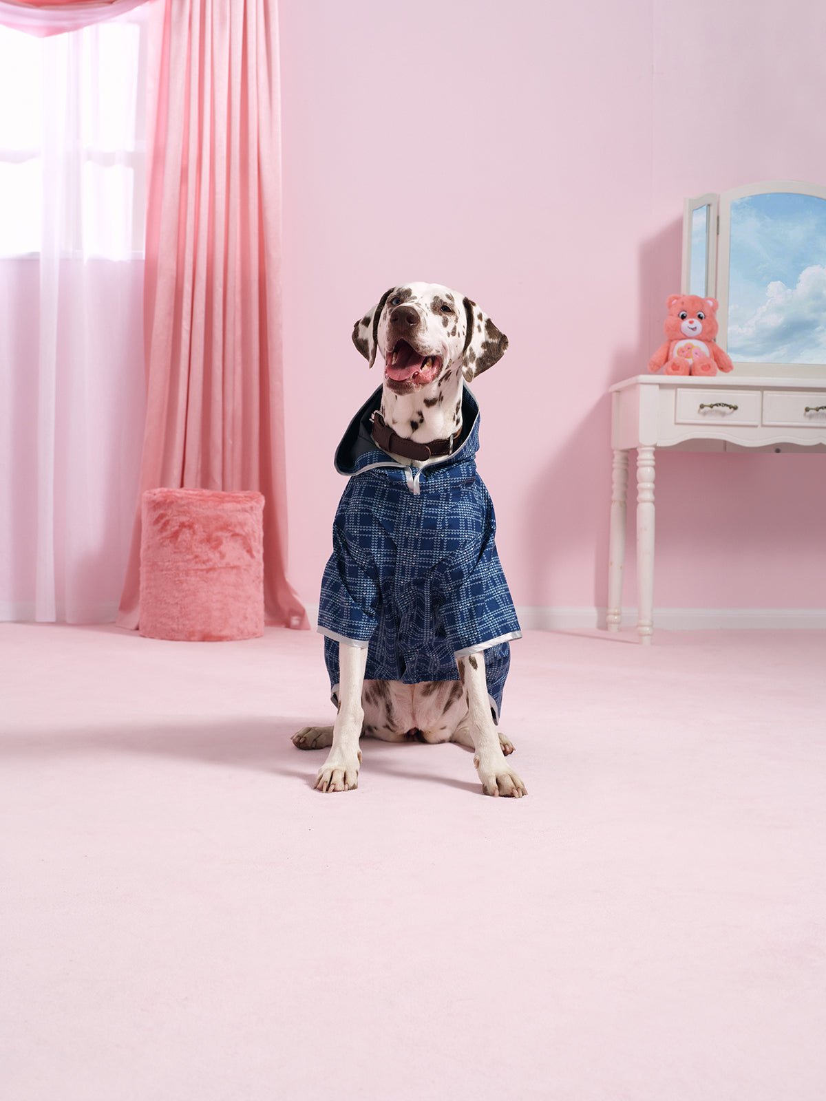 Flotte x Care Bears Waterproof Dog Coat (Boulogne) 