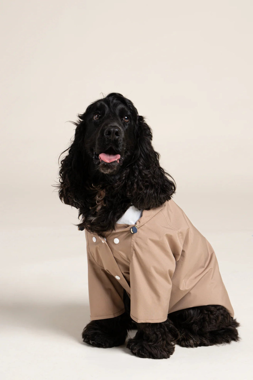 Boulogne Raincoat for Dogs - Flotte 