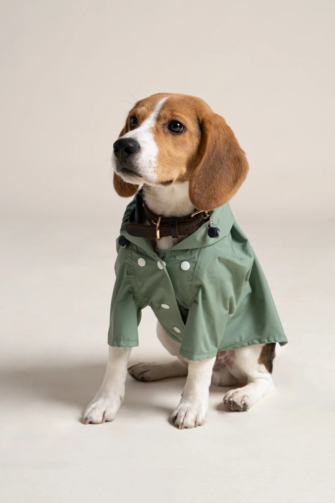 Boulogne Raincoat for Dogs - Flotte 