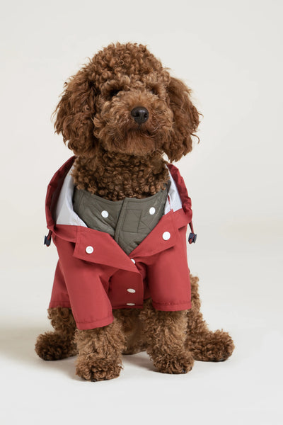 Vincennes - Doudoune pour chien - Flotte #couleur_kaki