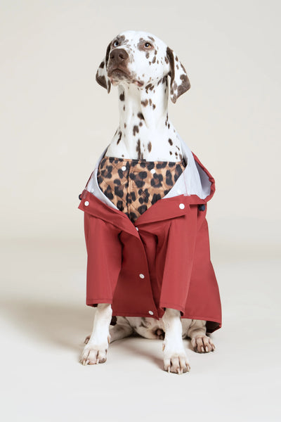 Vincennes - Doudoune pour chien - Flotte #couleur_new-leopard