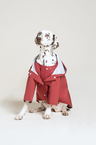 Impermeable Boulogne pour chien -Flotte #couleur_cerise
