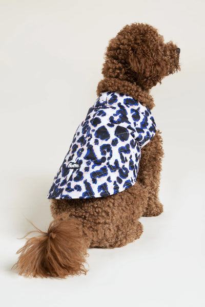 Vincennes - Doudoune pour chien - Flotte #couleur_leopard-bleu