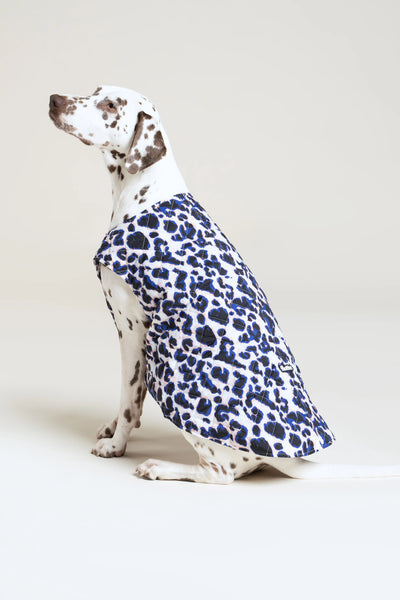 Vincennes - Doudoune pour chien - Flotte #couleur_leopard-bleu