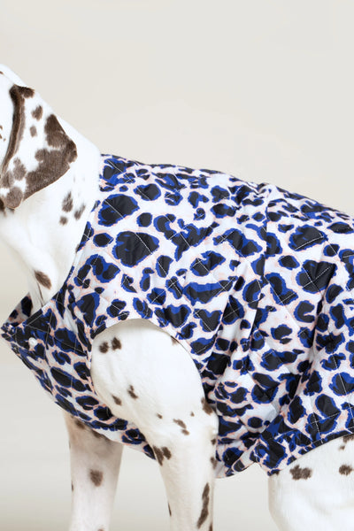 Vincennes - Doudoune pour chien - Flotte #couleur_leopard-bleu
