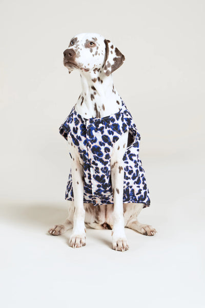 Vincennes - Doudoune pour chien - Flotte #couleur_leopard-bleu