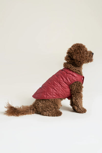 Vincennes - Doudoune pour chien - Flotte #couleur_cerise