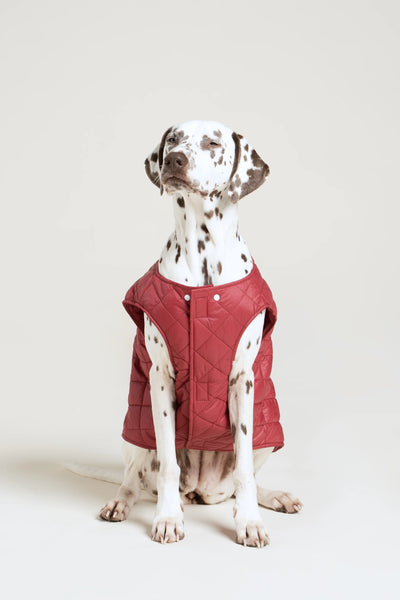 Vincennes - Doudoune pour chien - Flotte #couleur_cerise