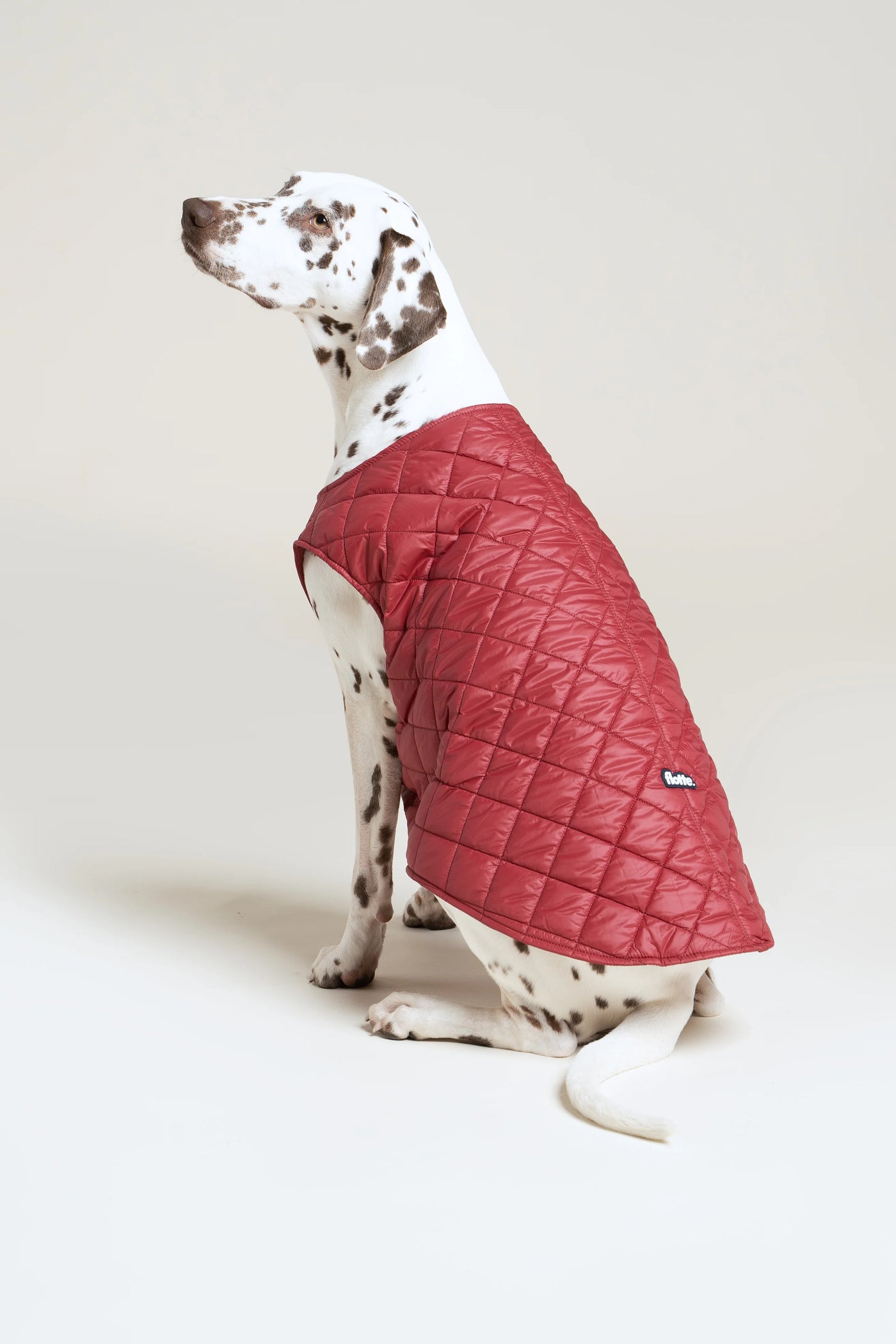 Vincennes - Doudoune pour chien - Flotte #couleur_cerise