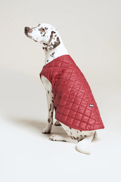 Vincennes - Doudoune pour chien - Flotte #couleur_cerise