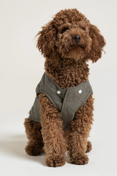 Vincennes - Doudoune pour chien - Flotte #couleur_kaki