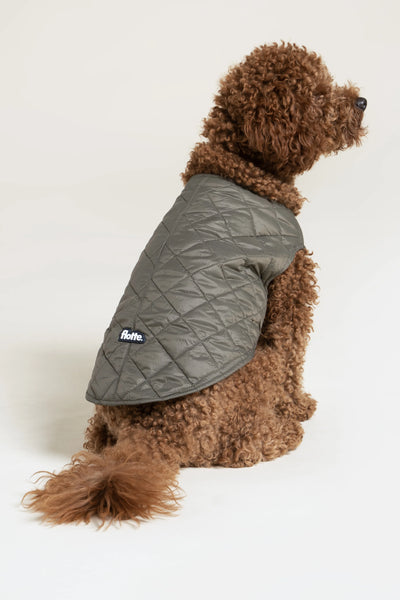 Vincennes - Doudoune pour chien - Flotte #couleur_kaki