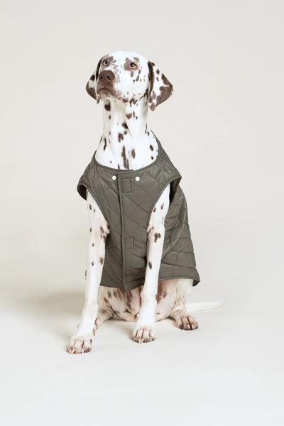 Vincennes - Doudoune pour chien - Flotte #couleur_kaki