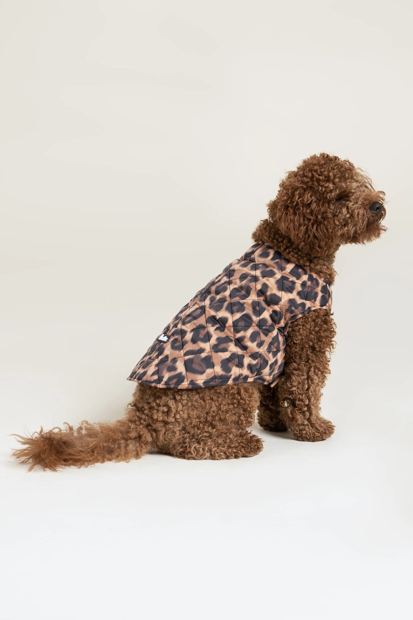 Vincennes - Doudoune pour chien - Flotte #couleur_new-leopard