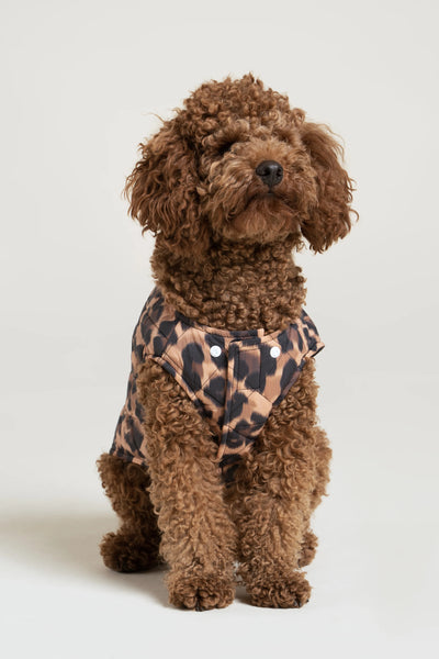 Vincennes - Down jacket for dogs