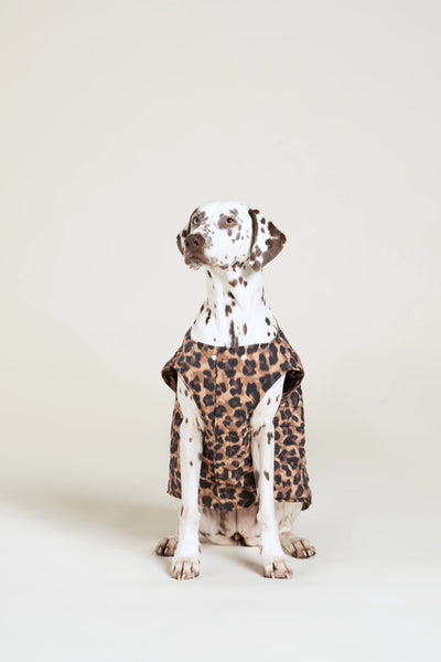 Vincennes - Doudoune pour chien - Flotte #couleur_new-leopard