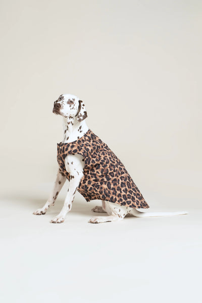 Vincennes - Doudoune pour chien - Flotte #couleur_new-leopard