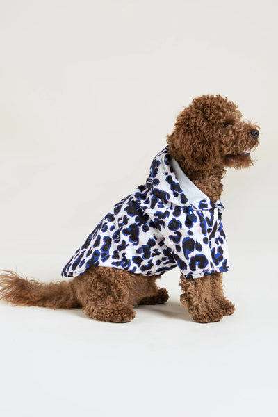 Impermeable Boulogne pour chien -Flotte #couleur_leopard-bleu