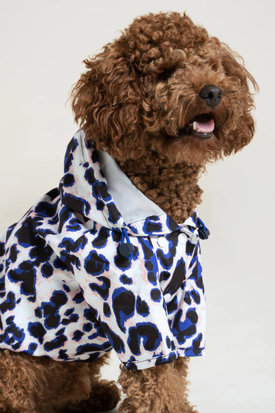 Impermeable Boulogne pour chien -Flotte #couleur_leopard-bleu