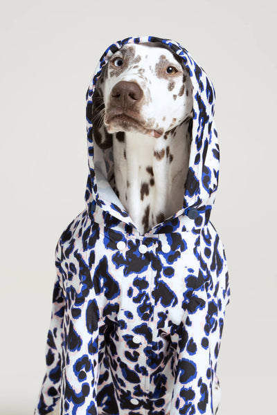 Impermeable Boulogne pour chien -Flotte #couleur_leopard-bleu
