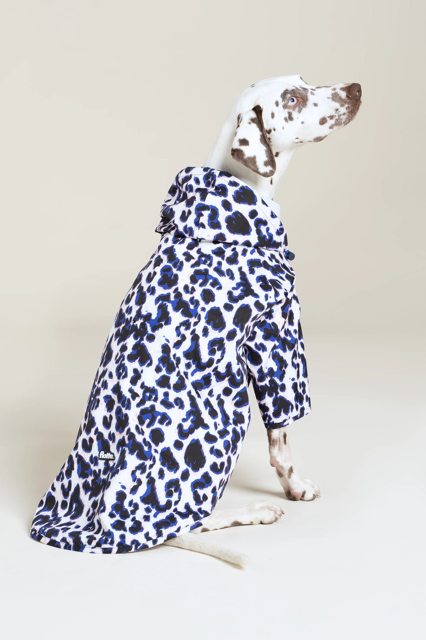 Impermeable Boulogne pour chien -Flotte #couleur_leopard-bleu