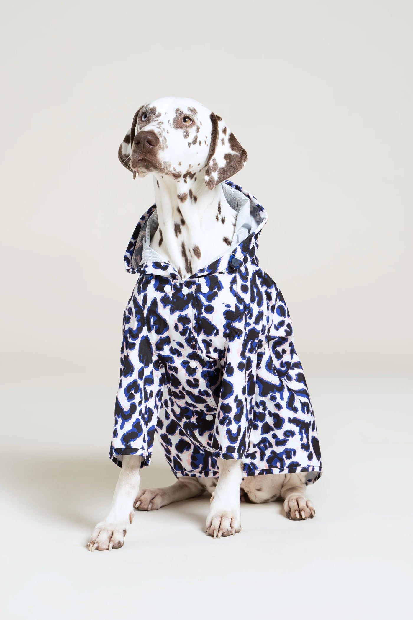Impermeable Boulogne pour chien -Flotte #couleur_leopard-bleu