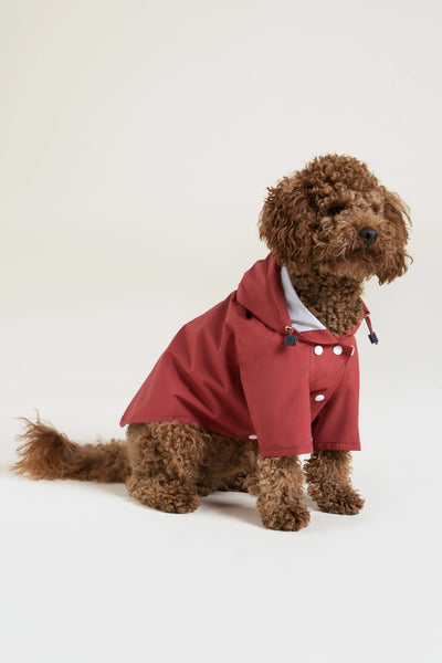 Impermeable Boulogne pour chien -Flotte #couleur_cerise