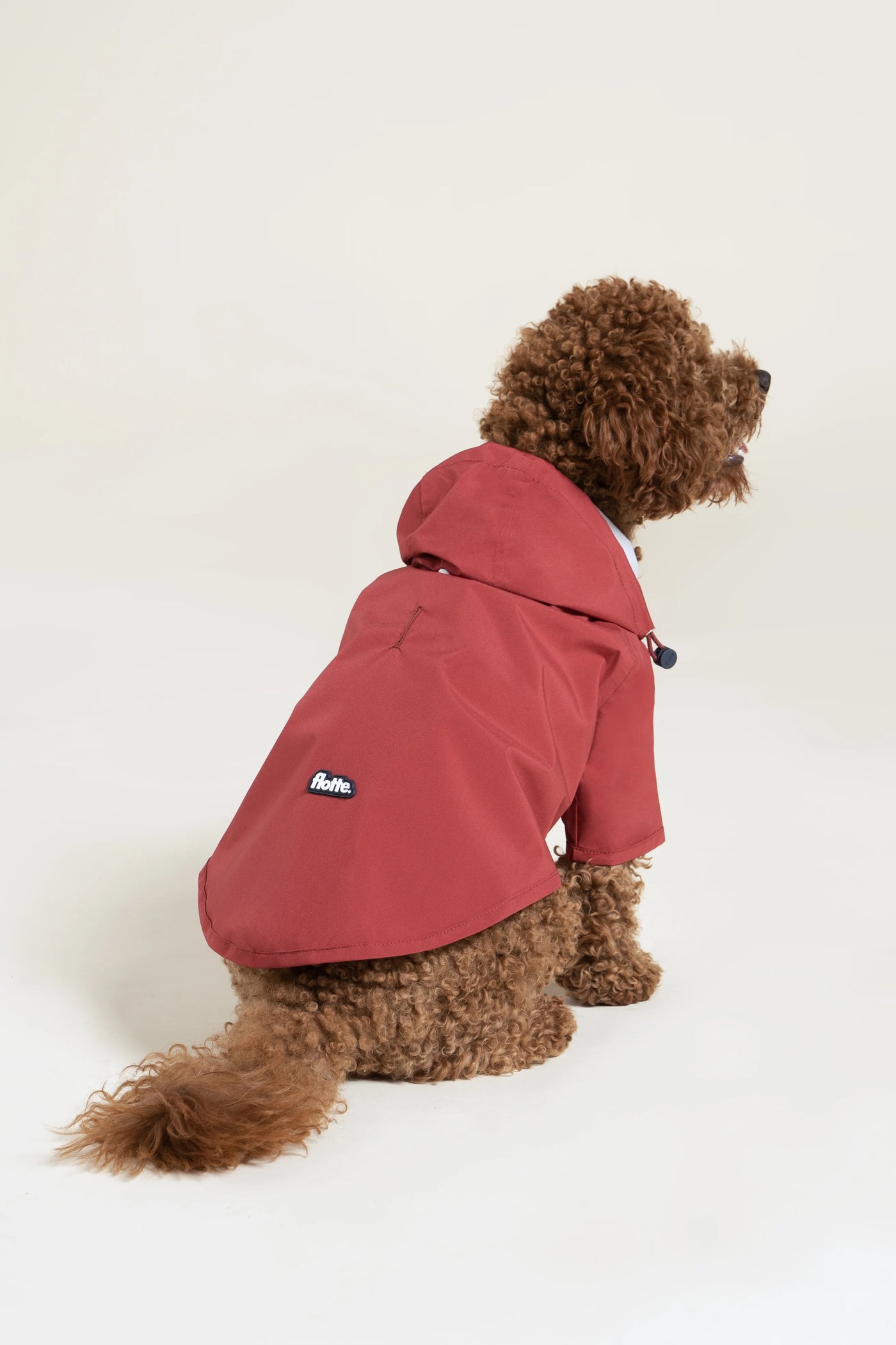 Impermeable Boulogne pour chien -Flotte #couleur_cerise