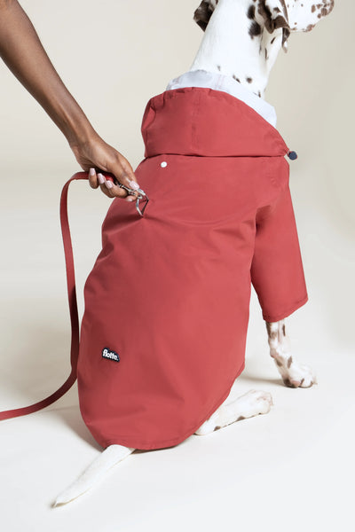 Impermeable Boulogne pour chien -Flotte #couleur_cerise