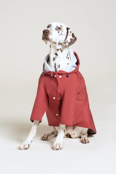 Impermeable Boulogne pour chien -Flotte #couleur_cerise
